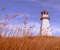 Lighthouse Gallery Screensaver Скриншот 0