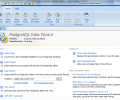 PostgreSQL Data Wizard Скриншот 0