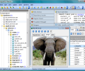 PostgreSQL Maestro Скриншот 0