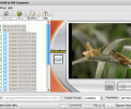 dvdXsoft DVD to PSP Converter Скриншот 0