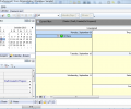 A VIP Task Manager Professional Edition Скриншот 2