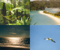 Impressions of New Zealand Скриншот 0
