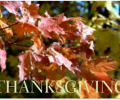 Animated Day Of Thanksgiving Screensaver Скриншот 0