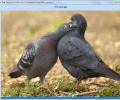 Easy Photo Slide Show Скриншот 0