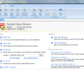 Oracle Data Wizard Скриншот 0