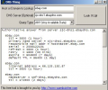 DNS Thing Скриншот 0