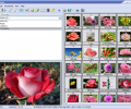 Able Image Browser Скриншот 0