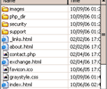 PortaWhiz FTP Client Скриншот 0