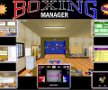 Boxing Manager Professional Edition Скриншот 0
