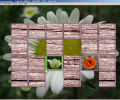 CompliCat Concentration Скриншот 0