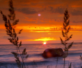 7art Landscape ScreenSaver Скриншот 0