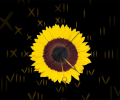 Sunflower Clock ScreenSaver Скриншот 0