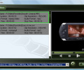 ViVi PSP Converter Screenshot 0