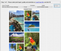 Pos Multiple Image Printing Wizard Скриншот 0