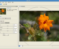 Citra FX Photo Effects Скриншот 0