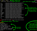 txt2regex Скриншот 0