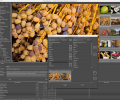 ProStockMaster for Mac Os X Скриншот 0