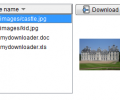 MyDownloader Screenshot 0