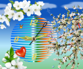 Apple-Blossom-Clock ScreenSaver Screenshot 0