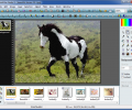 Portable PhotoFiltre Studio X Скриншот 3