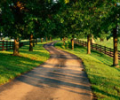 Free Four Seasons Screensaver Скриншот 0