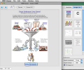 WMF Viewer and Convertor for Mac Скриншот 0