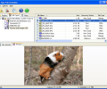 Easy FAT File Undelete Скриншот 0