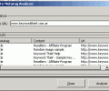 Site Metatag Analyzer Скриншот 0