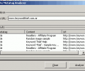 Site Metatag Analyzer Screenshot 0