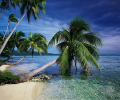 Beautiful Tropical Islands vol.1 Скриншот 0