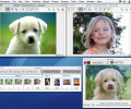 Morpheus Photo Animation Suite Mac Скриншот 0