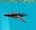 Deep Sea World 3D Screensaver Скриншот 0