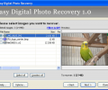Easy Digital Photo Recovery Скриншот 0