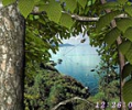 Living Forest 3D Screensaver Скриншот 0