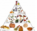 Food Pyramid Animated Diete Screen Saver Скриншот 0