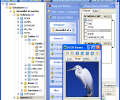 MaxDB Code Factory Скриншот 0
