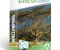Tree Of Life - Animated 3D Wallpaper Скриншот 0