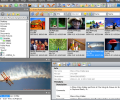 ThumbsPlus Скриншот 0