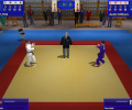 3D Judo Fighting Скриншот 0