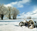 White Snow Screensaver Скриншот 0