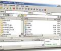 Win Ftp Client Professional Скриншот 0