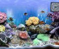 The Big Corals [AD] Скриншот 0
