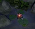 Water Lily Скриншот 0