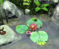 Water Lily 2 [AD] Скриншот 0