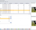 Multiple Image Resizer .NET Скриншот 2