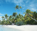 Free Sunny Beach Screensaver Скриншот 0