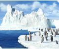 3D Penguins ScreenSaver Скриншот 0