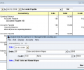Double Entry Accounting Screenshot 0