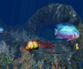 3D Aquatic Life Screensaver: Fish! Скриншот 0