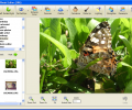 Photo! Editor Скриншот 0